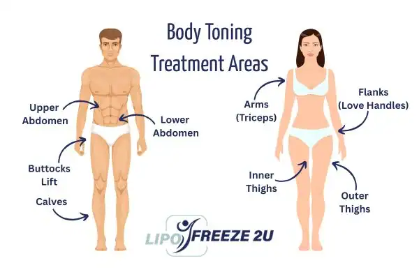 Graphic showing where you can have Body toning Treatment Felixstowe on your body